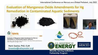 Evaluation of Manganese Oxide Amendments for Mercury Remediation in Contaminated Aquatic Sediments